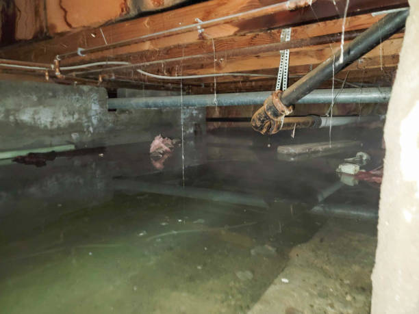 Professional Water damage restoration in OH