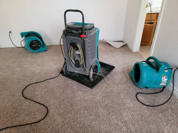  Bay Village, OH Water damage restoration Pros