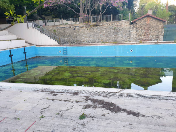 Best Flood restoration services  in Bay Village, OH
