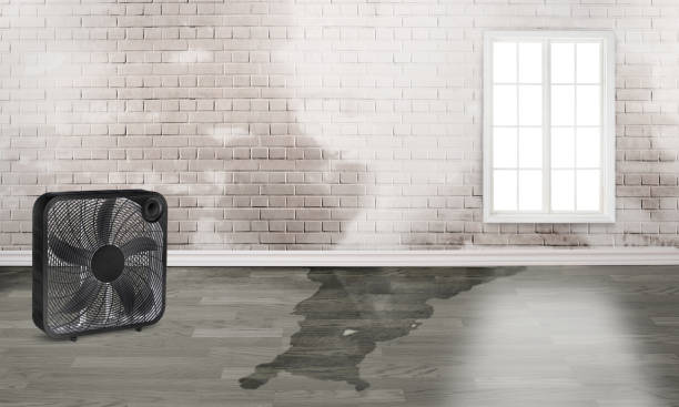 Best Water damage restoration near me  in Bay Village, OH