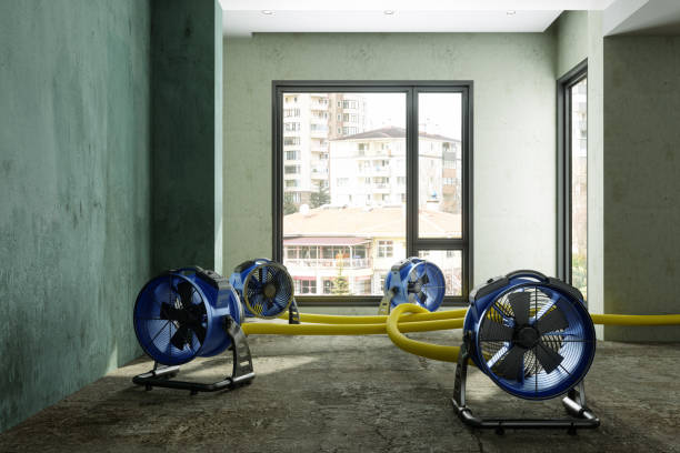 Best Emergency water damage restoration  in Bay Village, OH